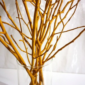 May include: A bunch of yellow painted branches in a clear glass vase. The branches are arranged in a vase on a white surface.