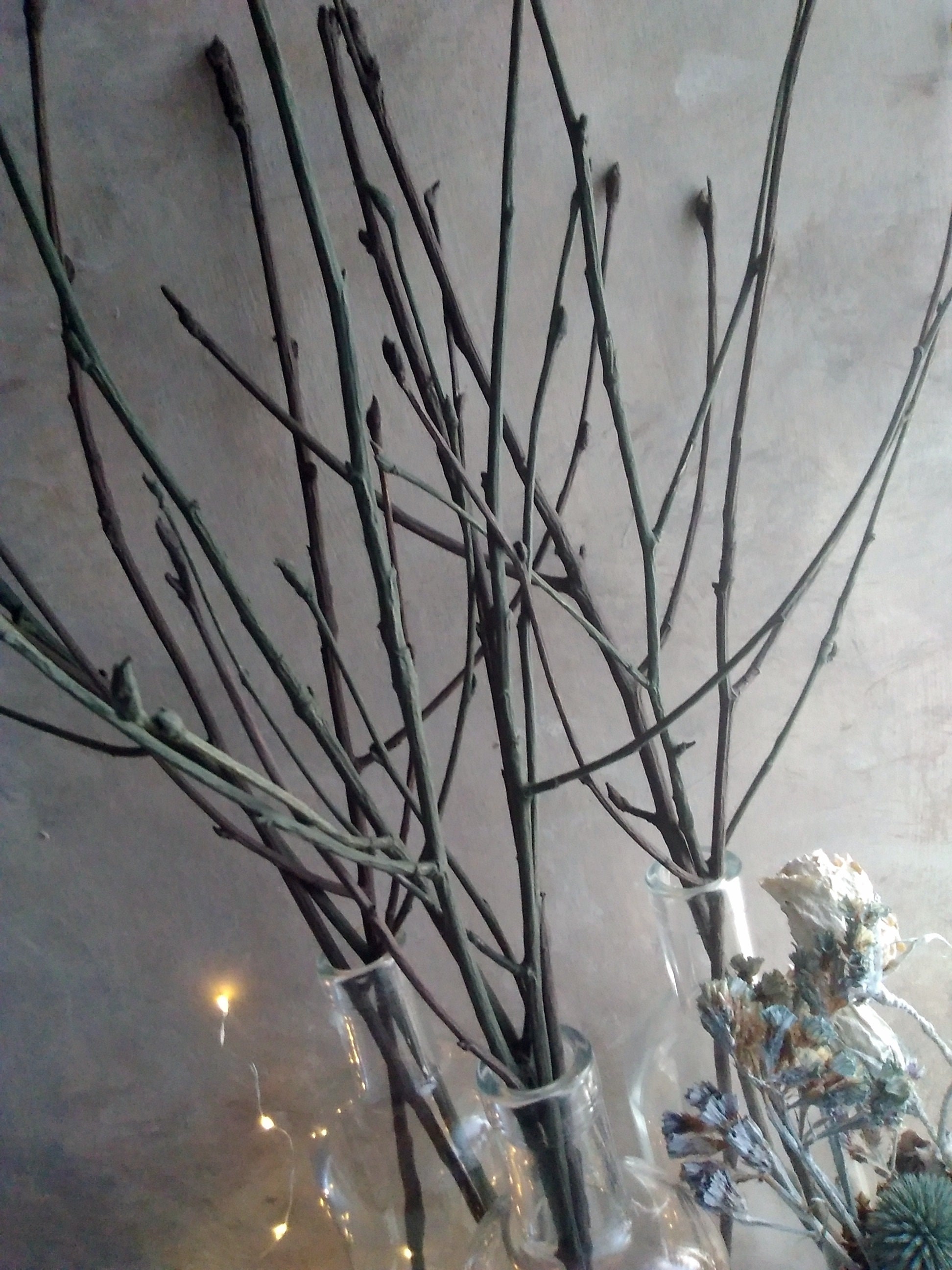 Wedding Centerpiece, 6 White Tree Branches, Decorative Branches