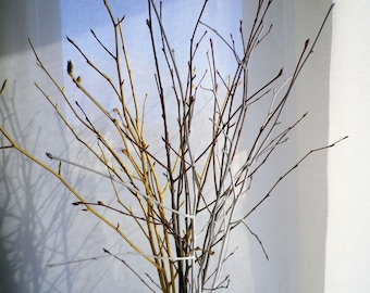 May include: A bouquet of branches painted in white and gold. The branches are arranged in a vase and are against a white background.