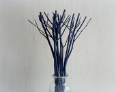 Navy Blue Painted Tree Branches: Modern Minimalist Home Decor