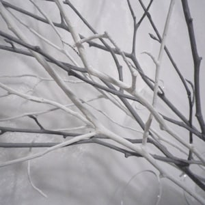 Tree branches, white grey branches, home decor branches, woodland home decorating idea, mantel decor, modern minimalist decor, office decor