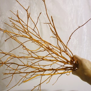 May include: A bunch of thin, brown branches with a natural, rustic look. The branches are bundled together and have a slightly rough texture.