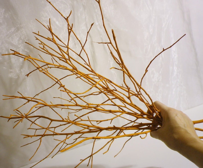 May include: A bunch of thin, brown branches with a natural, rustic look. The branches are bundled together and have a slightly rough texture.