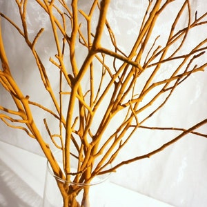 May include: A bunch of thin, bare branches painted a bright yellow color, arranged in a clear glass vase. The branches are spread out and create a natural, organic look.