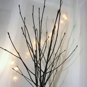 May include: A decorative branch arrangement with white lights strung throughout the branches. The branches are arranged in a vase or container, but the container is not visible in the image.