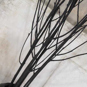 Black Rowan Tree Branches: Modern Minimalist Vase Filler (Set of 7) image 12