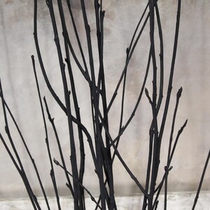 Black Rowan Tree Branches: Modern Minimalist Vase Filler (Set of 7) image 11