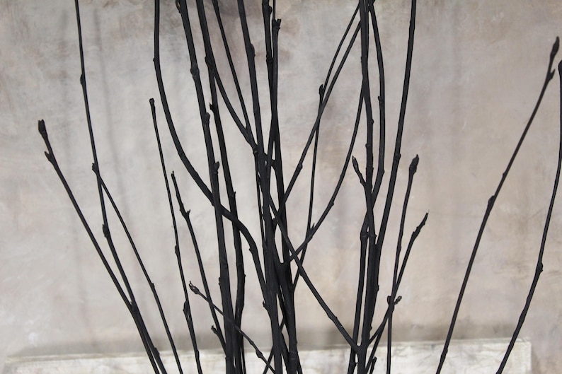 Black Rowan Tree Branches: Modern Minimalist Vase Filler (Set of 7) image 11