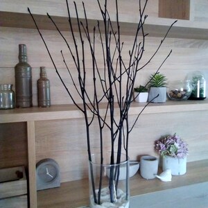 May include: A clear glass vase filled with white sand and black branches. The vase is sitting on a wooden shelf with other decorative items.