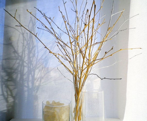 White Gold Tree Branches Wedding Centerpiece Set of 12 Birch Twigs