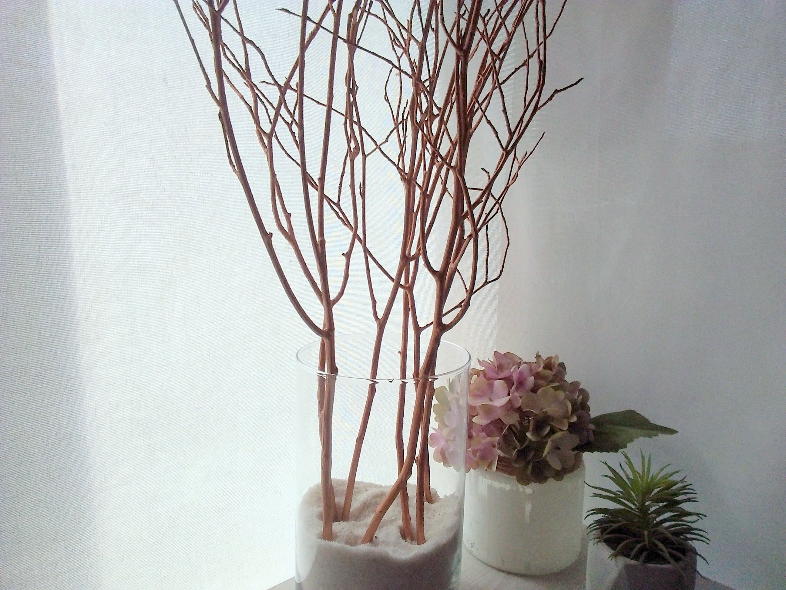 White Tree Branches, Tree Branch Vase Filler, Christmas Centerpiece, Floral  Arrangement, Modern Minimalist Scandinavian Style Home Decor 