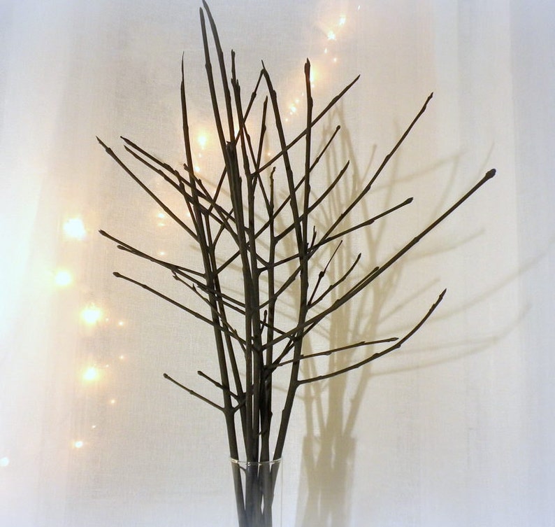 Black Branches Vase Filler Contemporary Home Decor Simple Etsy