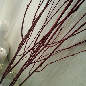 May include: A bunch of thin, red painted branches arranged in a vase. The branches are spread out and create a fan-like shape. The branches are in focus, while the background is blurred.