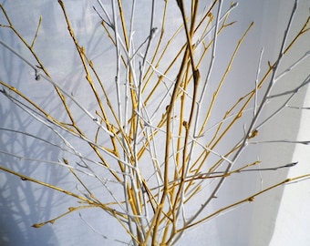 May include: A collection of white and gold painted branches arranged in a vase. The branches are thin and delicate, creating a whimsical and airy look.