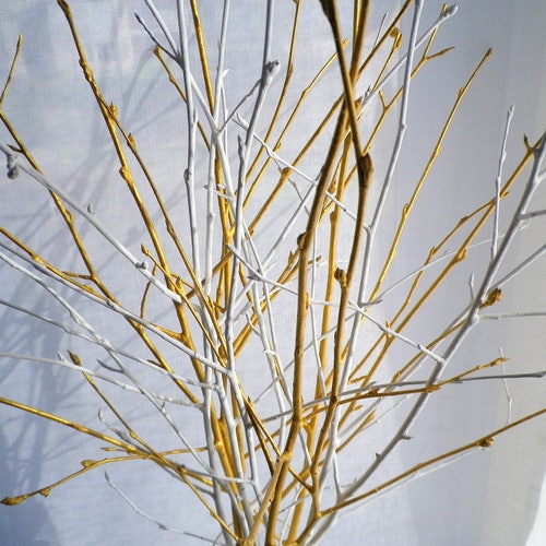 White Gold Tree Branches Wedding Centerpiece Set of 12 Birch Etsy