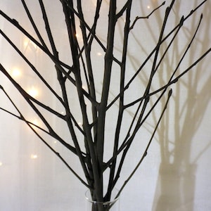 May include: A bouquet of bare branches in a clear glass vase. The branches are arranged in a fan shape and are illuminated by string lights.
