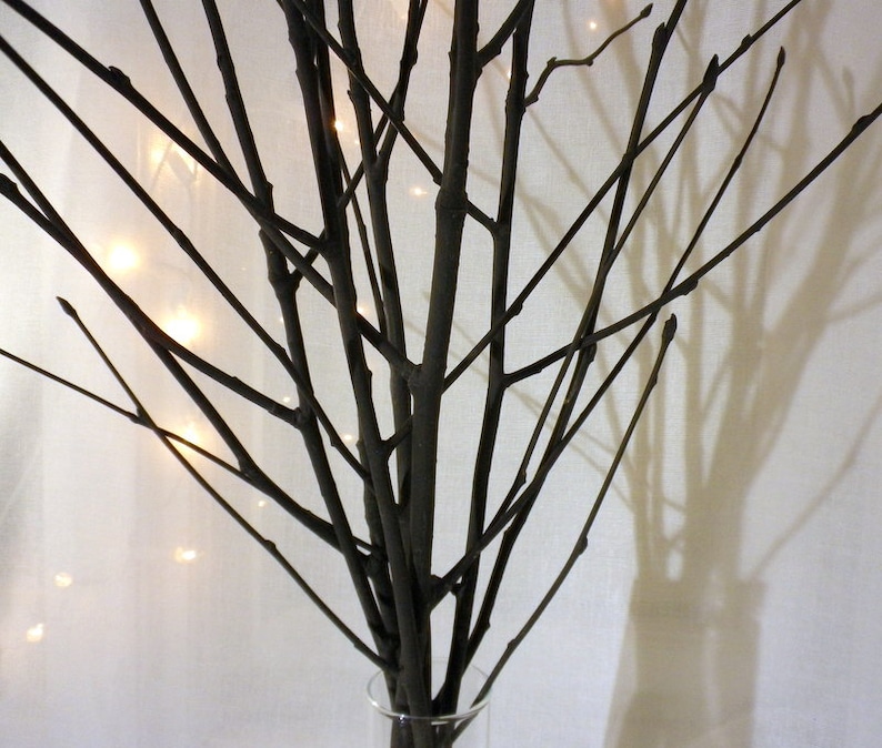 May include: A bouquet of bare branches in a clear glass vase. The branches are arranged in a fan shape and are illuminated by string lights.