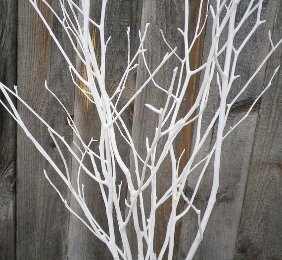 Centrotavola nuziale, 6 rami di alberi bianchi, rami decorativi