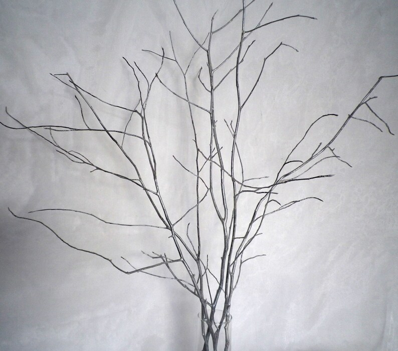 Silver Tree Branches 5 Decorative 28 Wood Branches Home Etsy