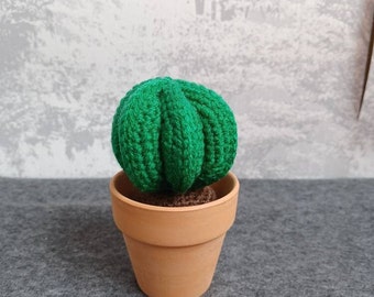 Crochet Cactus, Potted Cactus, Miniature Cactus, Home Decoration, Artificial Cactus, Bishop's Cap Cactus, Artificial Plant