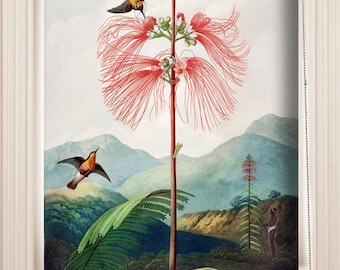 ビクトリア朝の花と鳥の植物イラストのカスタムメイドプリント（VNT79）ウィンドウローラーブラインドレギュラーまたは遮光シェード、コード（レス）