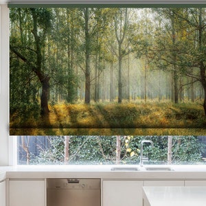 Sunrays hitting the forest summer landscape printed custom made window (VNT90) roller blind, regular or blackout shade, chain or cordless