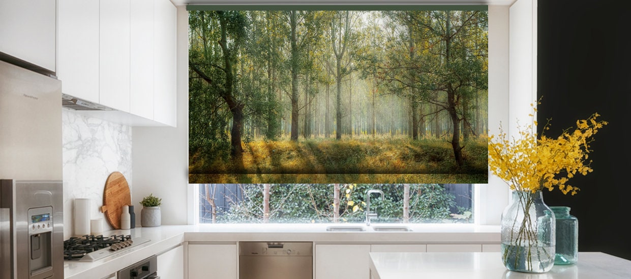 Sunrays hitting the forest summer landscape printed custom made window (VNT90) roller blind, regular or blackout shade, chain or cordless