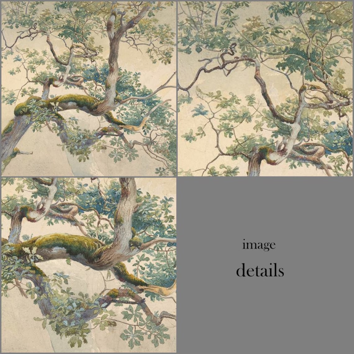 Tree Branches Drawing Custom Made Printed Window (ART-55) Roller Blind ...