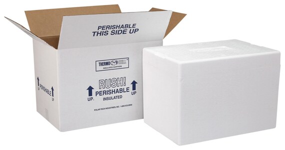 Large Thermo Chill Insulated Carton with Foam Shipper, Not sold Separately Il_570xn