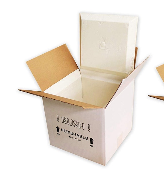 Medium Thermo Chill Insulated Carton with Foam Shipper, Not sold Separately Il_570xn