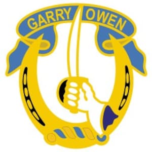 May include: A gold horseshoe with a blue ribbon that says "Garry Owen" and a hand holding a sword.