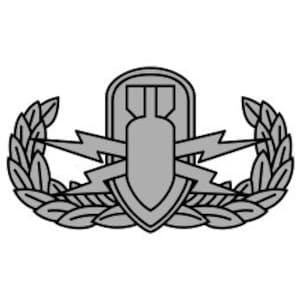 May include: A silver-colored military badge with a bomb, lightning bolts, and laurel wreaths. The badge is a symbol of the Explosive Ordnance Disposal (EOD) career field.