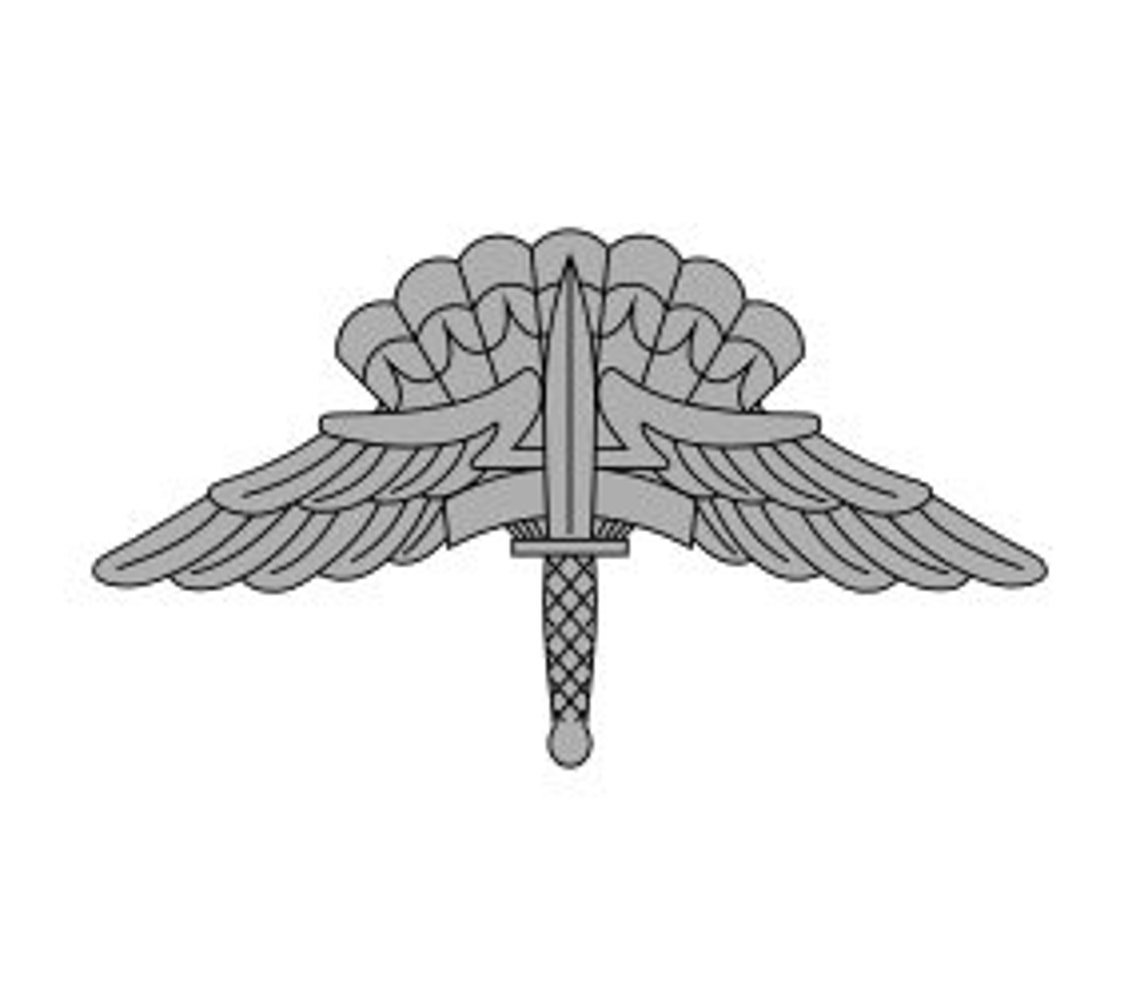 US Army Military Free Fall Parachutist (HALO) Badge Vector Files,
