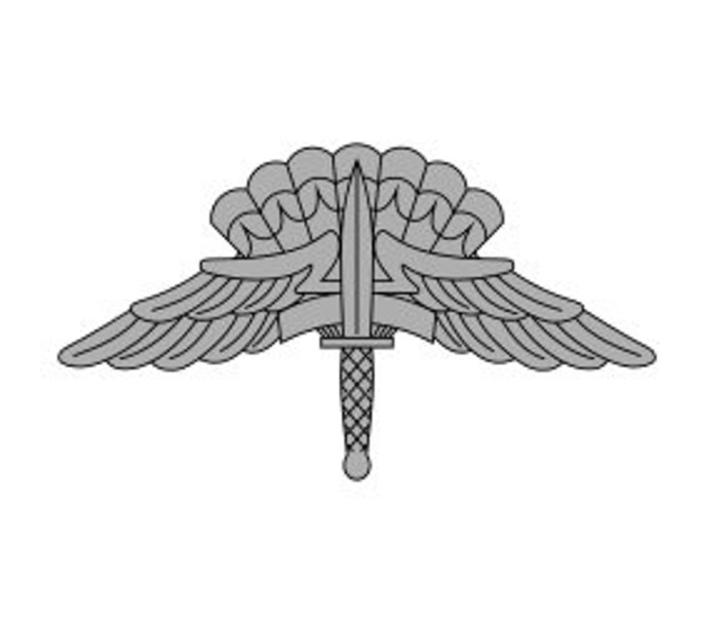 military freefall parachutist badge