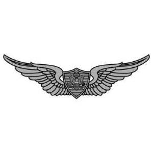 May include: A silver pilot wings badge with a shield in the center. The shield features a bald eagle with outstretched wings and a banner with the words "United States of America".