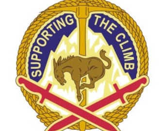 ★アメリカ軍＊ＵＳＡＡＣ/陸軍航空軍団＊メンバーピン＊ＳＡＡＤ社製（実物） il_340x270.5597293490_r32a.jpg