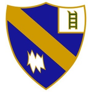 May include: A blue and gold shield with a white square containing a green ladder in the upper right corner. A white stylized wave design is in the lower left corner.