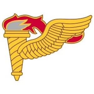 May include: A gold winged torch with a red flame. The torch is a symbol of the United States Army.