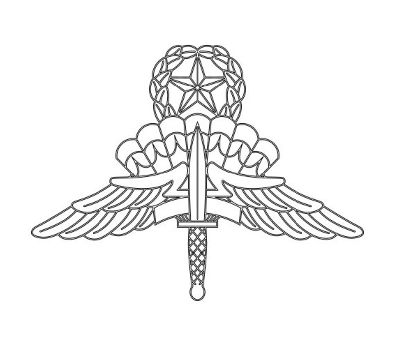 military freefall badge bundle military freefall badge bundle