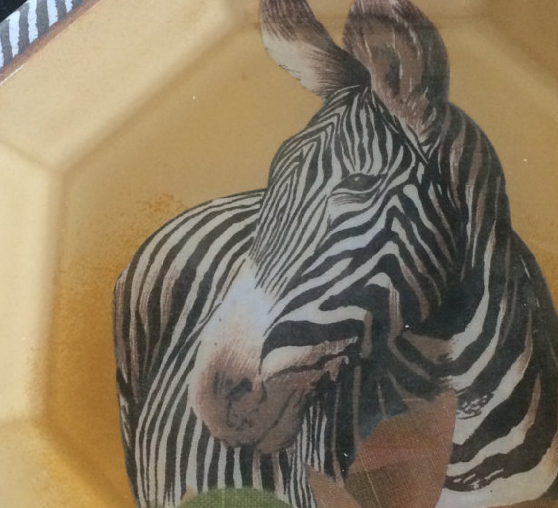 Zebra Plate Animal Print Plate Unique Plate Collectable Etsy