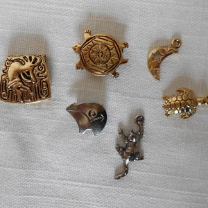 May include: A set of six gold and silver charms featuring various animal and celestial designs. The charms include a turtle, a crescent moon, a bird, a cat, and two different stylized animal figures.