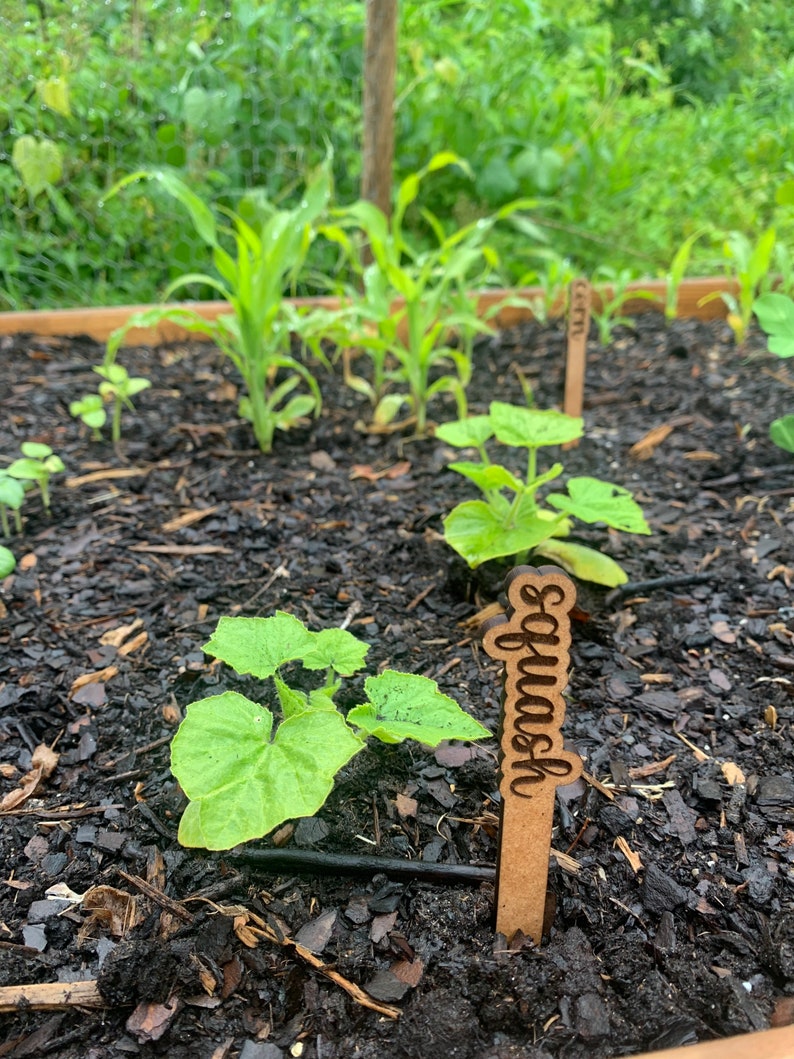 Garden Picks Herb Signs Garden Signs Gift for Gardener Etsy