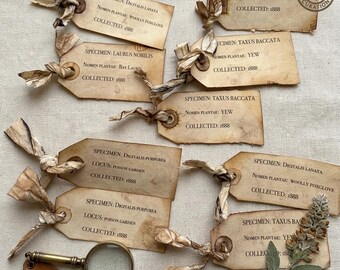 Apothecary's Collection of 9 Finished Specimen Tags: Digitalis Purpurea, Yew, Bay Laurel. Heavily Charred, Structural Paper Loop Binding