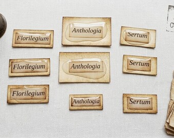 Micro Junk Journal Specimen 9-Piece Miniature Resin Labels, Botanist Study Field Kit, Mini Apothecary Ephemera