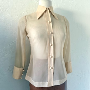 Beautiful sheer silk blouse