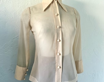 Beautiful sheer silk blouse
