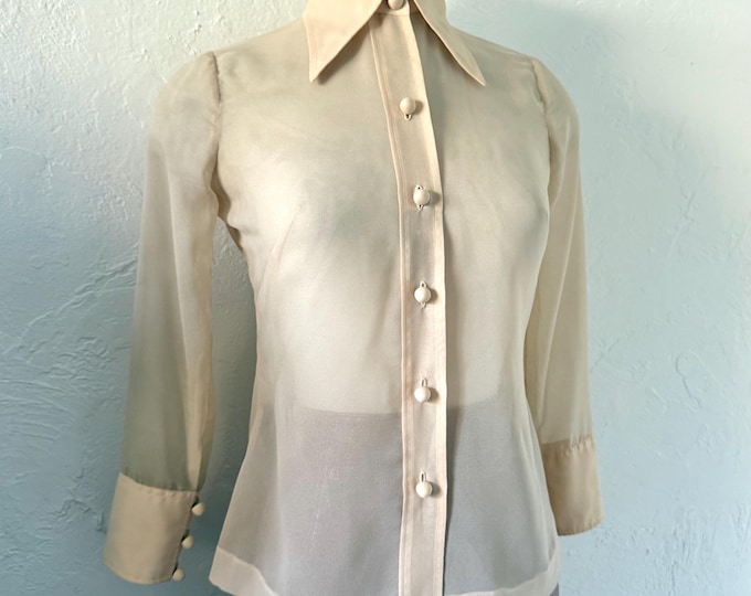 Beautiful Sheer Silk Blouse - Etsy