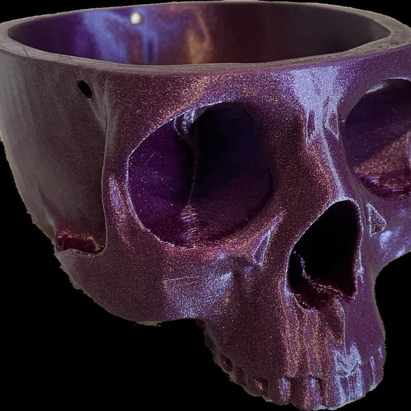 Shiny Skull Planter -Hanging or Tabletop