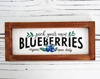 Blueberry Sign, Tiered Tray Decor, Blueberries, Framed Sign, Farmhouse Tiered Tray, Mini Blueberry Decor, Small Blueberry Sign, Blue Frame