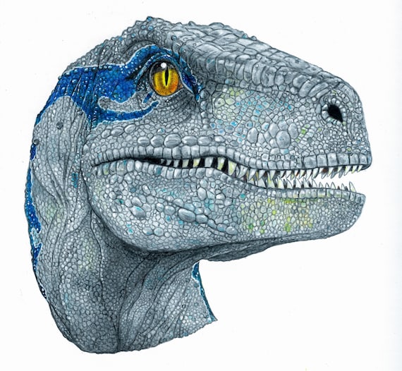 Blue Portrait Jurassic World Fallen Kingdom Poster Etsy